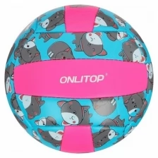 Мяч волейбольный ONLITOP «Кошечка», размер 2, 150 г, 2 подслоя, 18 панелей, PVC, бутиловая камера